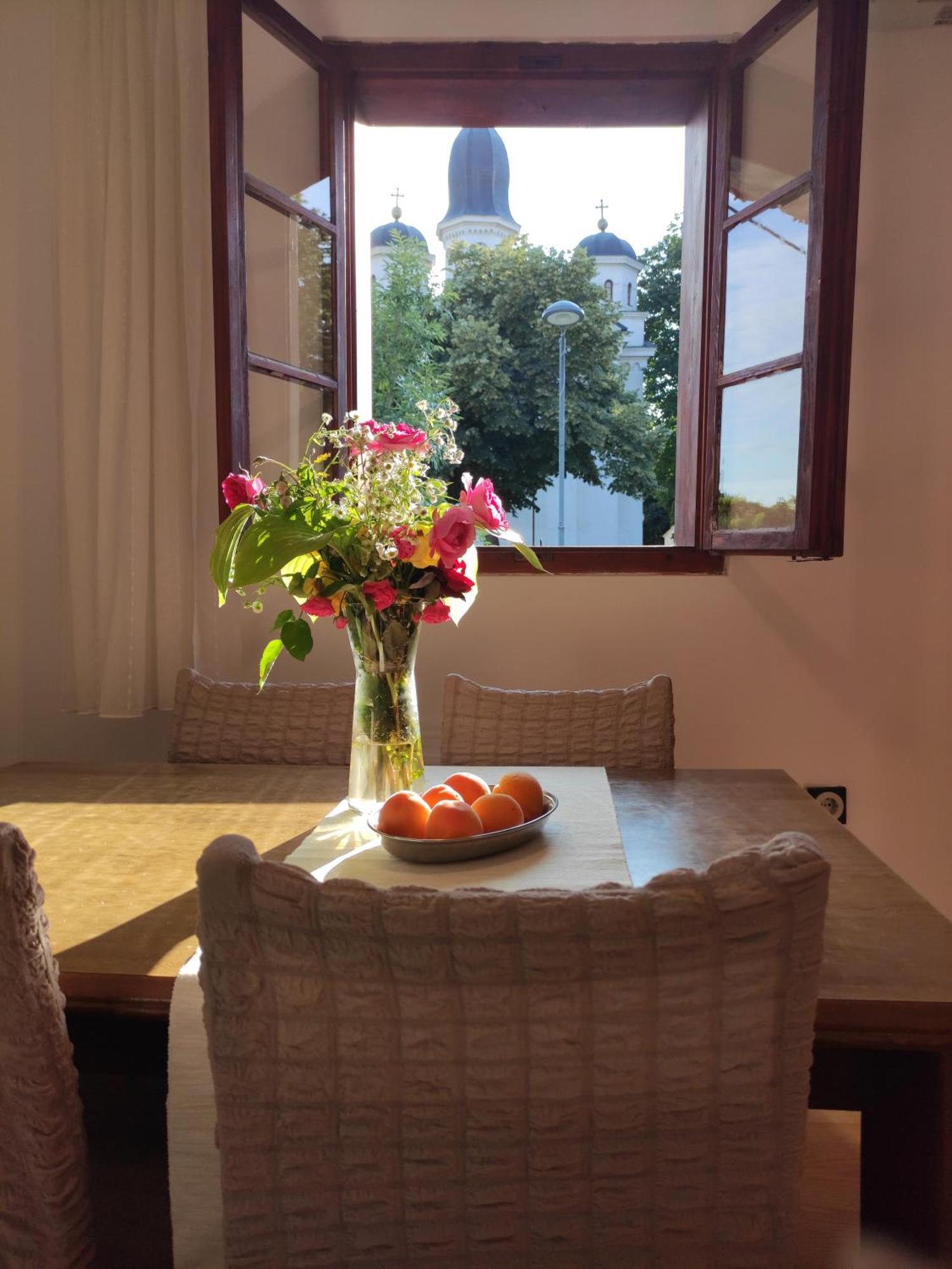 Apostolovic Kuca Kulturni Spomenik U Centru Grocke Apartment Grocka
